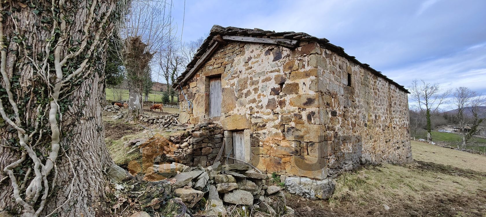 Finca rústica en Viaña, el paraíso de Cantabria. Ref 3051 V