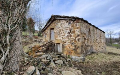 Finca rústica en Viaña, el paraíso de Cantabria. Ref 3051 V