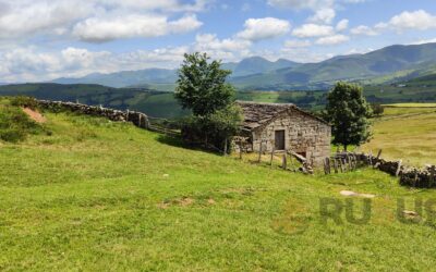 🌿En venta, por 32.000 €, ¡Tu Rincón Natural en Cantabria te está Esperando! 🏡