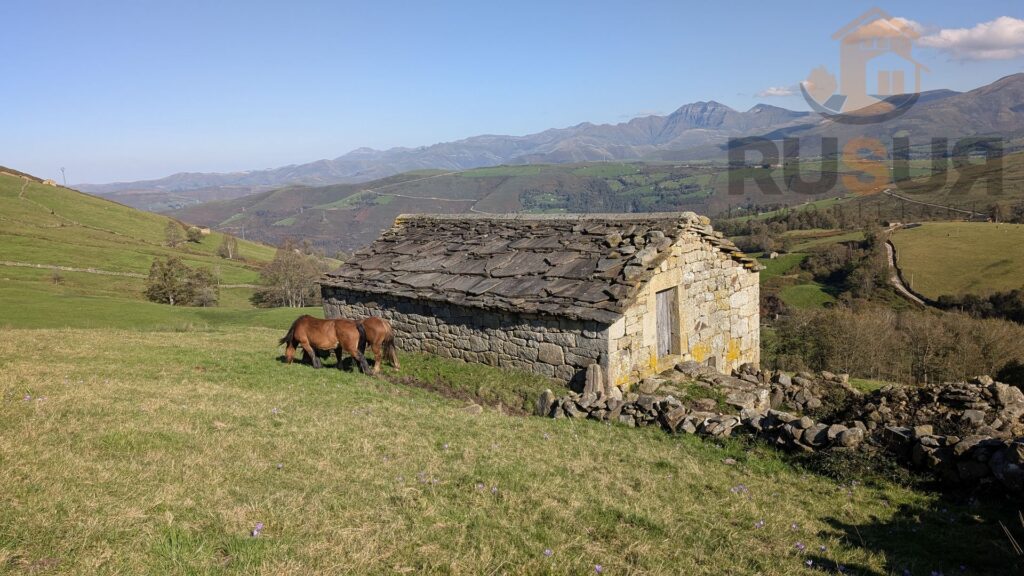 Vive la Naturaleza – Descubre la tranquilidad en el corazón de los Valles Pasiegos. Ref. 3238 V