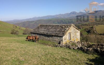 Vive la Naturaleza – Descubre la tranquilidad en el corazón de los Valles Pasiegos. Ref. 3238 V