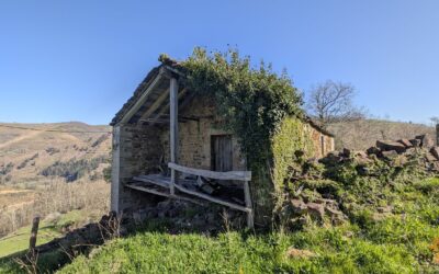 🏡DESPIERTA CON EL CANTO DE LOS PAJAROS Y 17.500m² DE LIBERTAD EN CANTABRIA 🏡