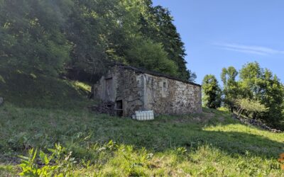 🏡 Oportunidad única en San Pedro del Romeral – Dos cabañas pasiegas con finca de casi 3 hectáreas